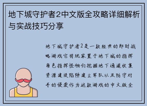 地下城守护者2中文版全攻略详细解析与实战技巧分享